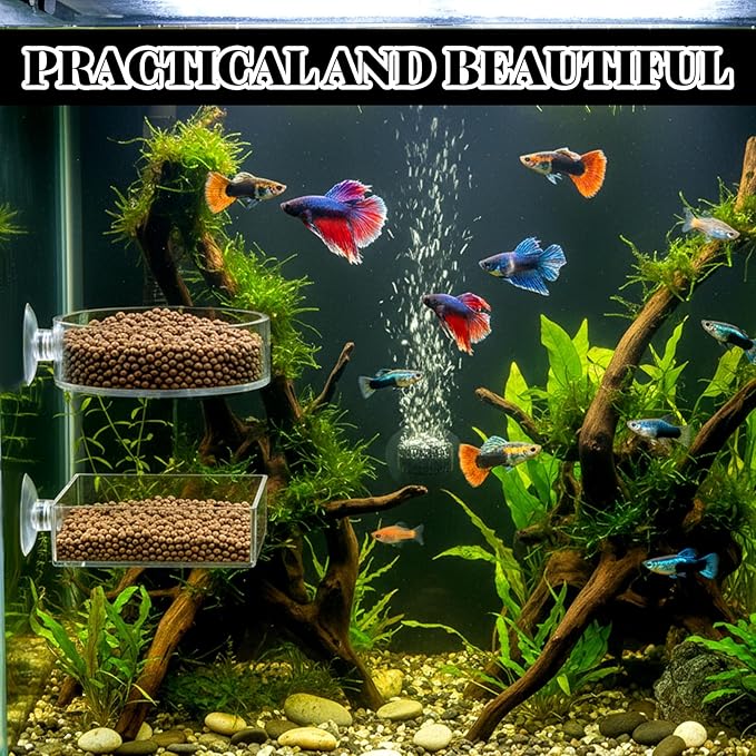 2Pcs Shrimp Feeding Dish, Aquarium Feeding Dish with Suction Cup Acrylic Fish Food Feeder for Freshwater and Saltwater Tanks Round and Square