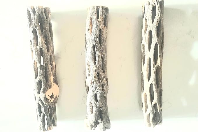 Hexagrowth Cholla Wood Shrimp Hideout, Habitat for Fish, Toy for Gecko, Hermit, Snake, Isopods, Millipedes, Beetle, Snail, Airplant Decor, Bird Perch, Untreated Size 6'' Long, 1'' Diameter (3 Pieces)