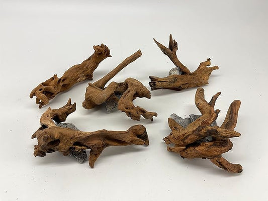 X-Small Driftwood (4.5-7 in) Assorted Natural Aquarium Decoration (1 Piece)