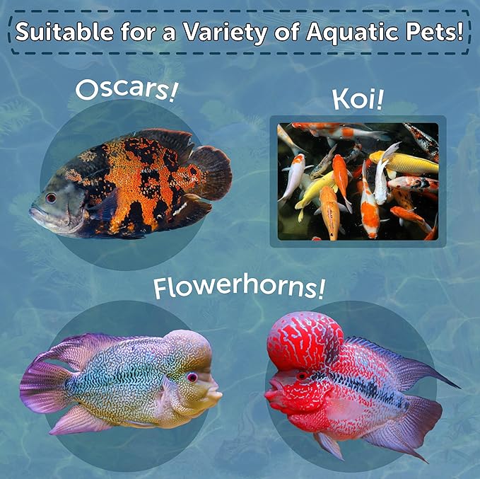 Arctic Krill, Freeze Dried Krill, High in Natural Color Enhancing for Large Cichlids, Tropical Fish, Koi, Turtles, 12-Type Pellet Mix & 4-Type Wafer Mix Included 3.85oz Canister