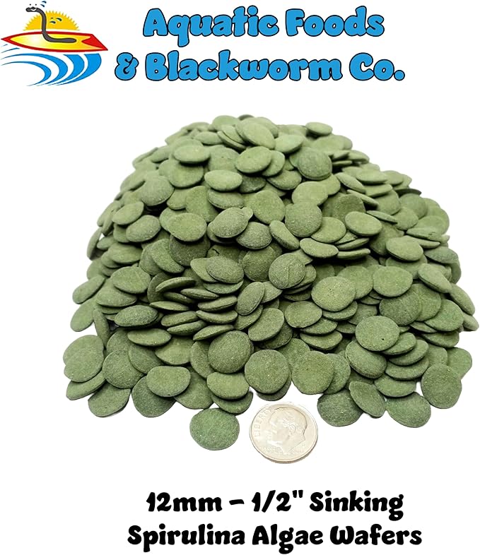 Wafers of Spirulina, Algae & Veggie 12mm - 1/2" Small Sinking Wafer for Shrimp, Snails, Crabs, Crayfish, Catfish, Plecos, All Tropical Fish, Turtles, AFI Wafers...11oz Small Jar