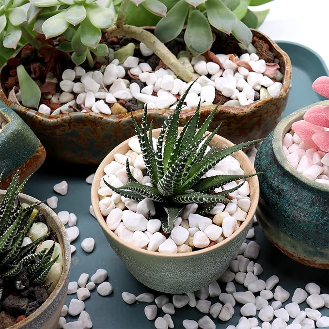 White Rocks. Decorative Pebbles. 1/5 Inch 5 lbs for Garden, Landscaping, Indoor, Vase fillers, Crafting, Succulents, pots, Plants (Mini (0.2 Inch), Tumbled, 5)