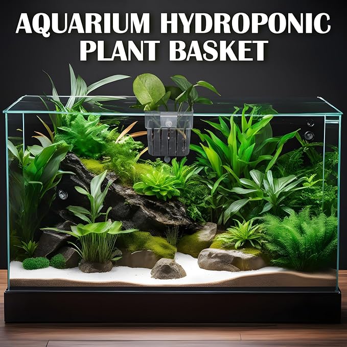 12 Pack Top Hanging Fish Tank Plant Pot Clear Aquarium Plant Holder with Hook Aquatic Plant Cup Holder Aquarium Aquatic P-lant Pot Water Landscape Decoration for P-lant Water Feature Decoration