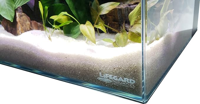 Lifegard Aquatics Low Iron Ultra Clear 17 Gallon Mitered Glass Crystal Aquarium – Rimless, 45° Beveled Edge Glass