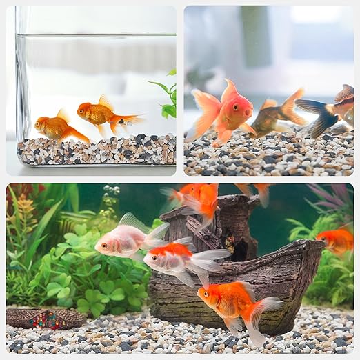 Pulovin 5 lbs Small Rocks for Plants, 1/5 Inch Pebbles for Indoor Plants, Natural Decorative Pea Gravel for Aquarium, Fish Tank, Terrarium, Succulents, Bamboo Plants, Vases, Cactus, Crafts