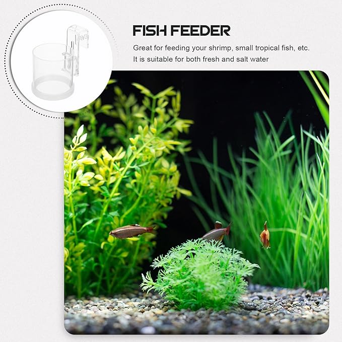 Aquarium Fish Feed Ring with Hook Acrylic Fish Tank Feeder Circle Large Size for Automatic Feeding in Home and Office