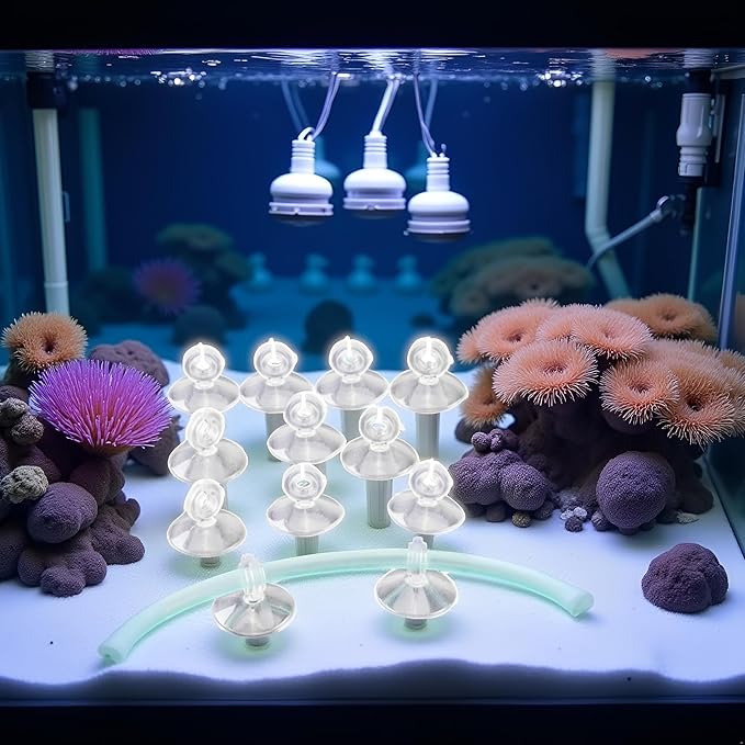 10Pcs Aquarium Suction Cup Clips Set, Fish Tank Air Line Holder, Clear Plastic for Glass Fish Supples