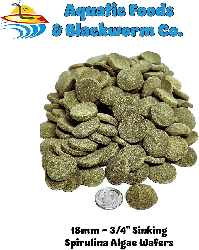 Sinking 18mm - 3/4" Wafers of Spirulina, Algae, for Bottom Fish, Plecos, Shrimp, Snails, Crayfish, Monster Fish, Koi & Pond Fish, All Tropical and More. Zeigler…10-lb