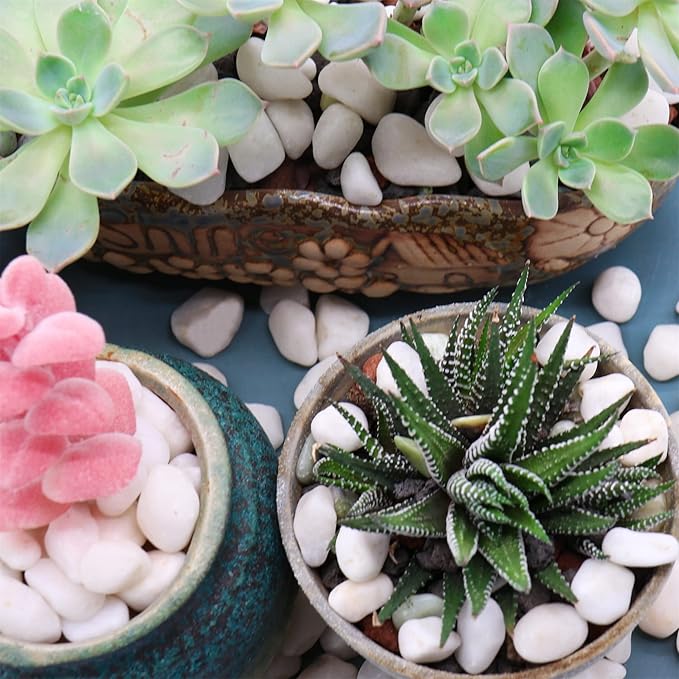 White Rocks for Plants & Garden. Decorative Polished Pebbles. 3/8 Inch 2lbs for Succulents, Vases & Pots (XSM (0.375 Inch), White - Lightly Polished, 2)