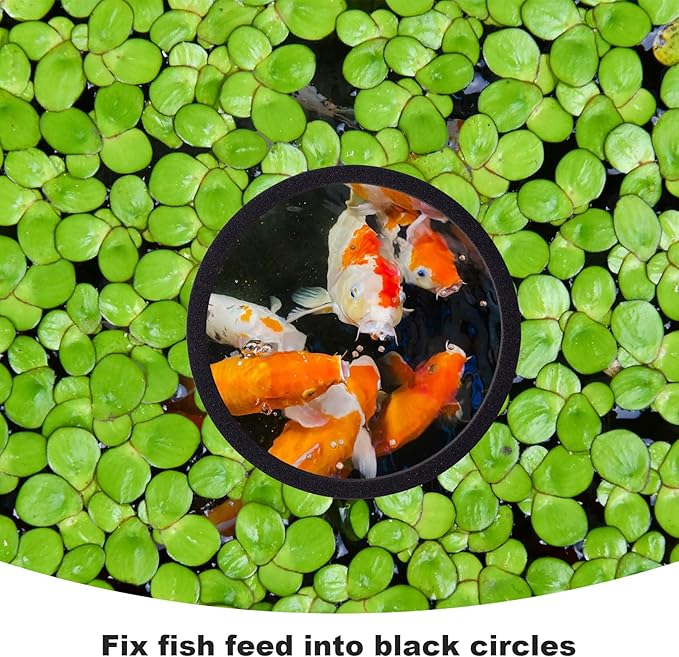 PAGOW 10pcs Fish Feeding Rings Set, 5 Sizes Round Floating Aquarium Plant Corral, Fish Tank Aquarium Accessories for Betta (Black)