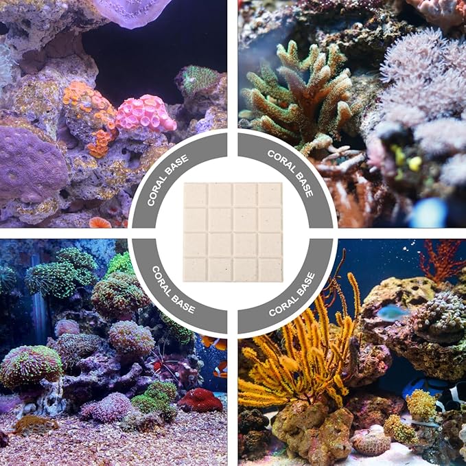 Ipetboom Frag Disks Coral Frag Plugs Support Bases for Fish Tank Aquarium Ceramic Coral Mount Plates 1.96In Square Aquarium Accessories
