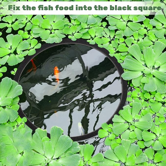 10 Pcs Fish Feeding Rings Set, Floating Plant Ring Aquarium Plant Corral Round Square Fishes Feeder Rings Aquariums Floating Plants Barrier Fishes Tanks Aquarium Floating Ring for Fish Tank Aquariums