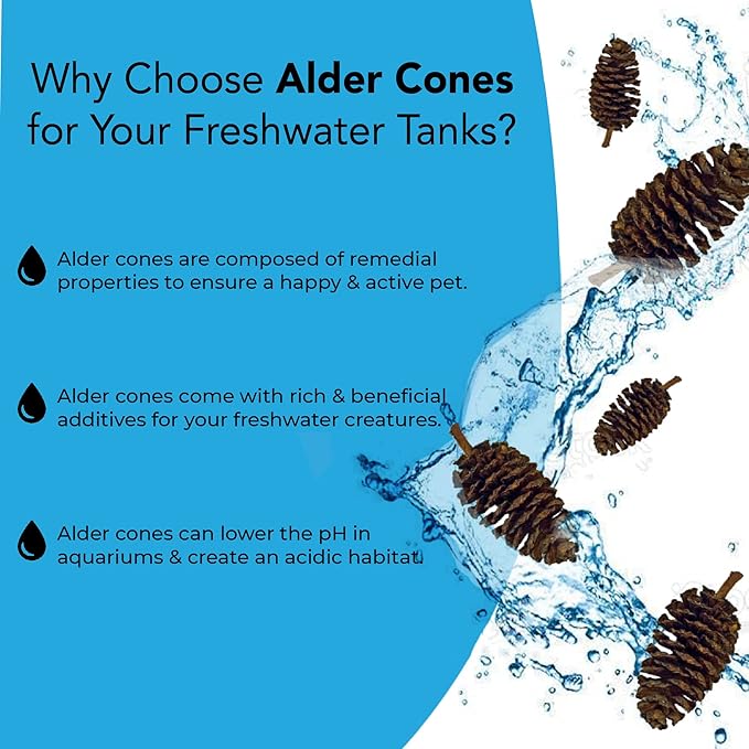 JOR Alder Cone Water Conditioner for Betta Fish, Creates Native Habitat, Relieves Stress, Serves As A Nursery and Food Source, Lowers Water pH, Can Be Used in Filter Or Freely in Aquarium, 60 pcs