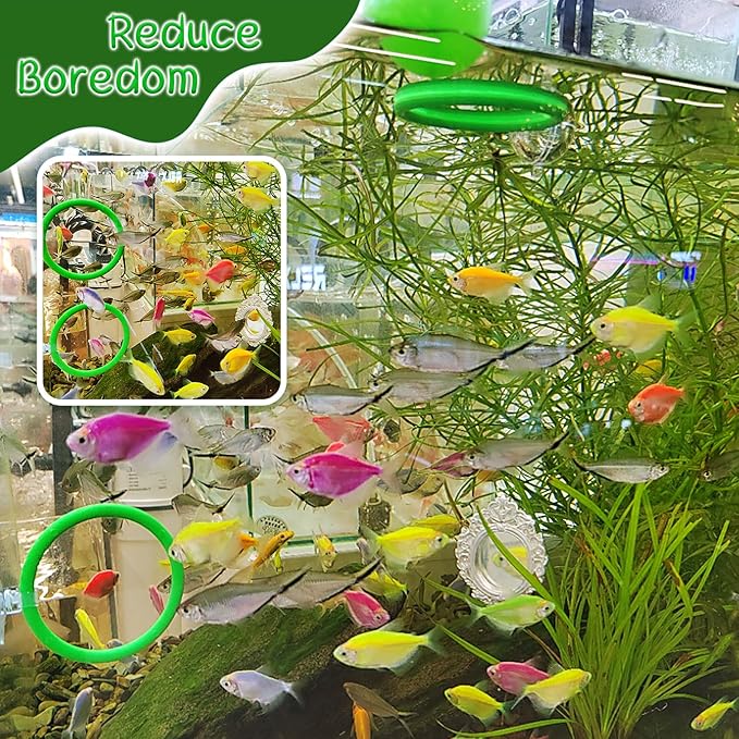 Betta Fish Enrichment Toys Ring and Mirror Floating Exercise Mirrors and Training Ring Floating Mirrors Aquarium with Feeding Rings Aquarium Accessories with Suction-Cup (Green)