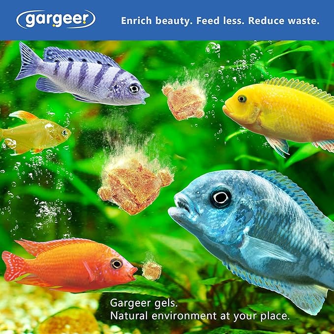 Gargeer 16oz African Cichlid Fish Food for Advanced Breeders. Complete African Cichlid Gel Diet for Both Juveniles & Adults. Made in The USA Using Premium Ingredients, Wild Nutrition Gourmet Formula