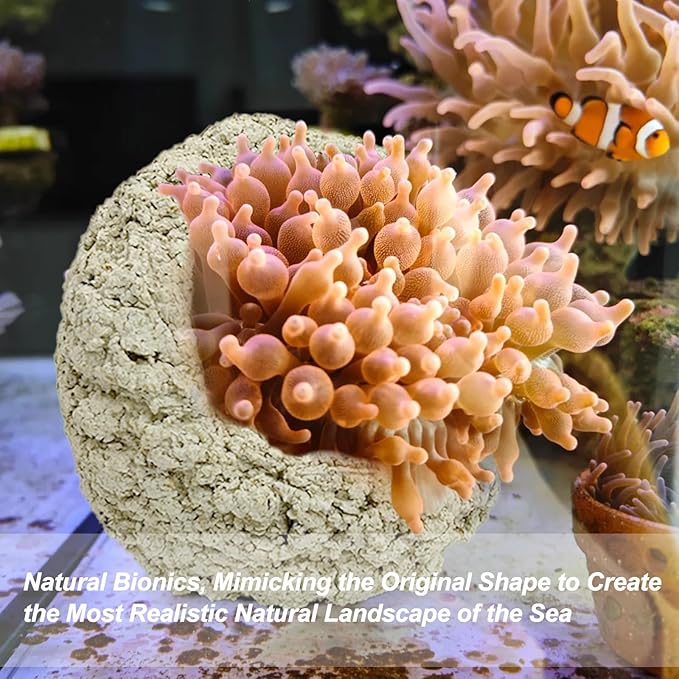 Anemone Nest,Fish Tank Decorations,Saltwater Aquarium Accessories,Aquarium Decor,Anemone Coral Ideal Habitat (Oblique Mouth 2.67-3.15 in)
