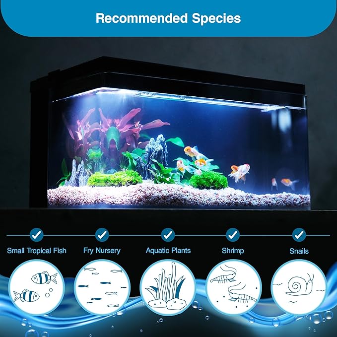 Harmony Deluxe 8 Gallon All-in-One Aquarium Kit, Award-Winning Fish Tank with Lid, Integrated Filtration, LED Light, Low-Iron Glass, Black Tank with Black Top