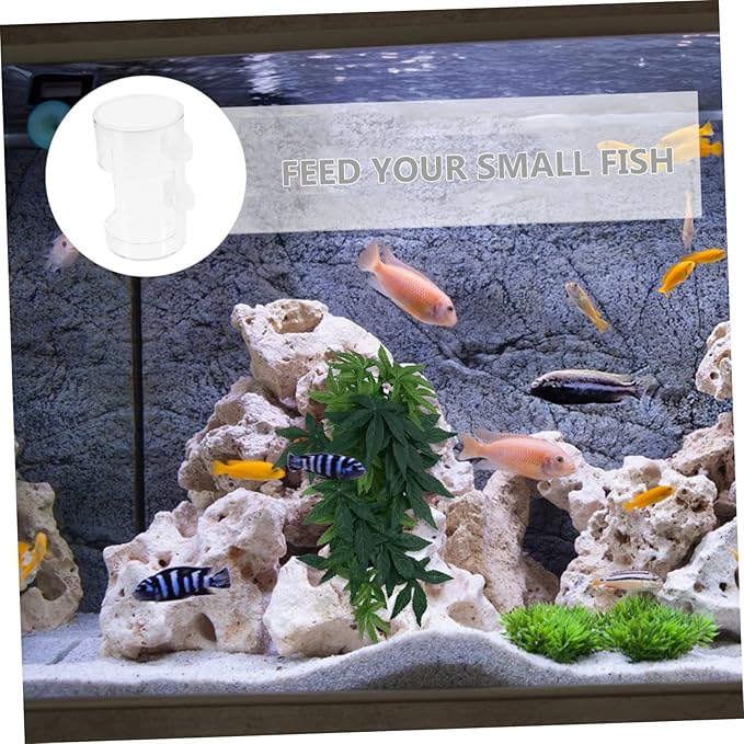 Fish Feeding for Aquariums Clear Floating Circle Cup Efficiently Distributes Food for Freshwater Tanks Fish Feeding Supplies