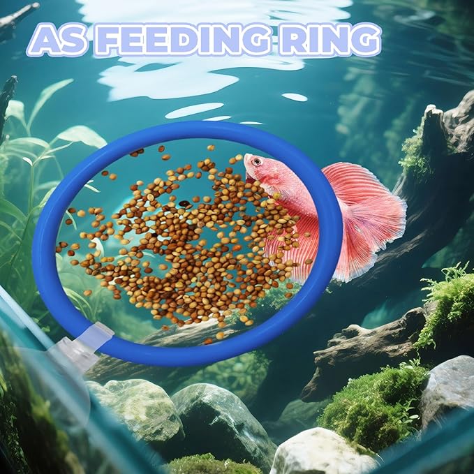 Betta Fish Tank Accessories, 2 Plastic Feeding Rings with Suction Cups and 2 Nitrifying Balls, Betta Enrichment Toys, Fish Tank Decor, Turtle Toys for Aquatic Turtles