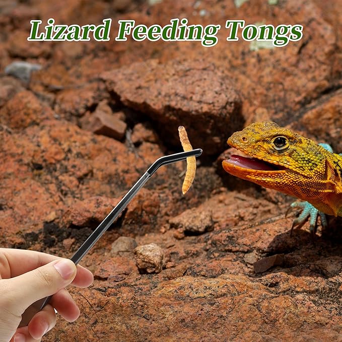 Reptile Feeding Tongs, Stainless Steel Lizard Feeding Tongs, Aquarium Curved Feeding Tweezers for Reptiles with Rubber Tip, Terrarium Feeding Tongs 10.63" L, Black Silver Tone