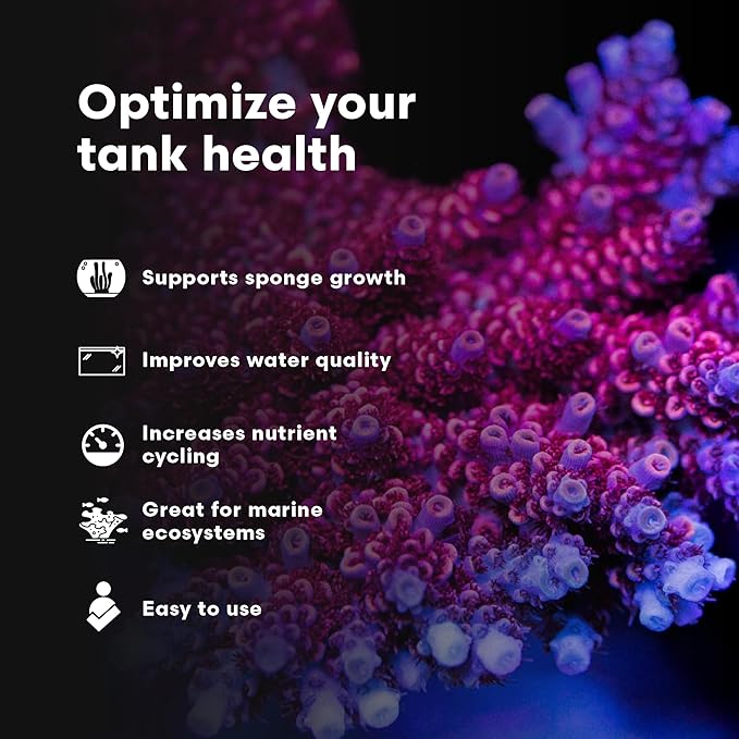 Brightwell Aquatics SpongExcel – Ionic Silica Solution for Marine Sponge & Gastropod Growth in Marine Aquariums, Boosts Water Quality, 125 ml