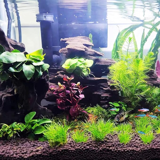 kathson Aquarium Large Driftwood Natural Wood Assorted Branches Fish Tank Driftwood Decoration Reptiles Habitat Wood Decor