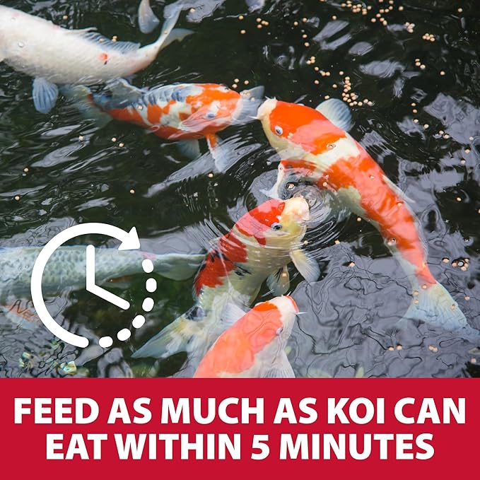The Pond Guy Growth & Vibrance Fish Food for Show Quality Koi & Goldfish, Premium Protein Floating Pellets for Balanced Nutrition, 5 lbs