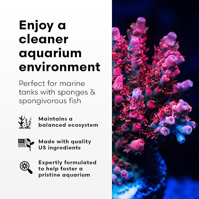 Brightwell Aquatics SpongExcel – Ionic Silica Solution for Marine Sponge & Gastropod Growth in Marine Aquariums, Boosts Water Quality, 125 ml