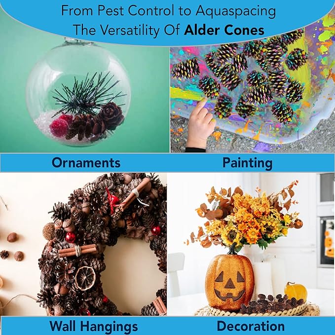 JOR Alder Cone Water Conditioner for Betta Fish, Creates Native Habitat, Relieves Stress, Serves As A Nursery and Food Source, Lowers Water pH, Can Be Used in Filter Or Freely in Aquarium, 60 pcs