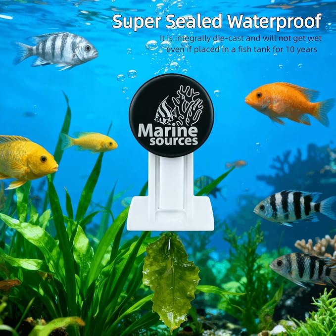 Magnetic Seaweed Feeding Clip for Saltwater Aquarium, Automatic Fish Feeder with Algae Magnet Clip, Glass Tank Accessory for Aquatic Pets, Up to 15mm Glass Thickness