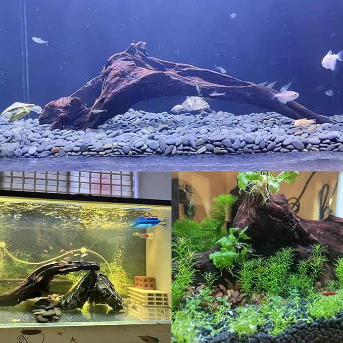 Tfwadmx Natural Driftwood for Aquarium Decor-9-14 Assorted Large Driftwood,Fish Tank Drift Wood Decoration, Freshwater Wood Branches Ornament for Reptile Terrarium,Air Plants