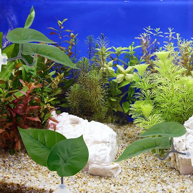 6pcs Double Layer Betta Leaf Hammock, Realistic Plastic Big & Small Leaf Fish Tank Decor with Suction Cups Branches Aquarium Plants for Betta Fish Resting Bed Spawning Ground