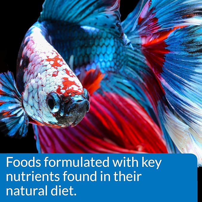 API Betta Food Fish Food Pellet .78-Ounce Container (Pack of 2)