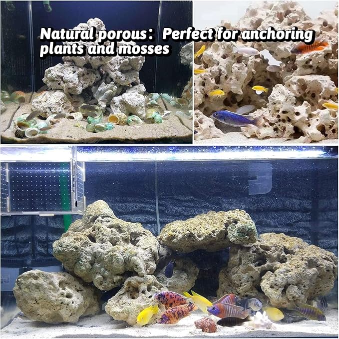Hamiledyi Aquarium Holey Rock Stone White Coral Ornament Sea Base Rocks for Aquarium Aquascaping Natural Limestone Decor for Fish Tank Aquatic Shrimp Pet Reptile Habitat (Random Size and Quantity)