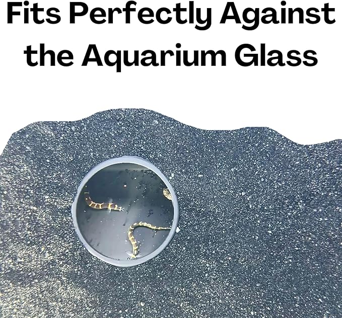 Lucky Critter Aquarium Underground Tunnel Cave Natural Curve | Viewing Fish & Shrimp Under Gravel Tunnel | Fish Tank Decor Decoration Hideout Perfect for Corydora Catfish, Kuhli Loach, Pleco