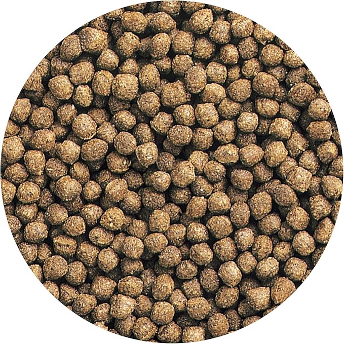 Hikari 10.5-Ounce Oranda Gold Floating Pellets for Pets, Mini