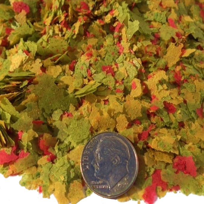 Zeigler Small Flakes with Vita-Pack for Discus, Cichlids, Guppies, Goldfish, Angel Fish,Tetras, Livebearers, Bettas, All Community Tropical Fish. Zeigler…2-lbs