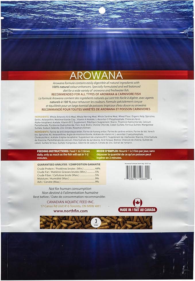 Northfin Arowana