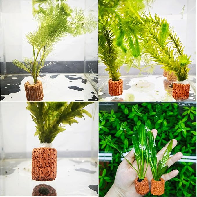 Aquarium Plant Anchor Aquarium Plant Holder Fish Tank Plant Cultivation Fixed Ring Base 25mm Aquarium Plant Ceramic Plant Pot 12PCS