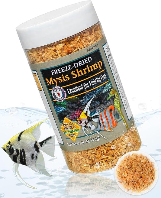 San Francisco Bay Brand Freeze-Dried Mysis Shrimp - Premium Fish Food, Tropical Fish Food, Shrimp Food - Ideal for Freshwater and Saltwater Fish, Cichlids, Angels, Seahorses - 0.49 oz (14g)