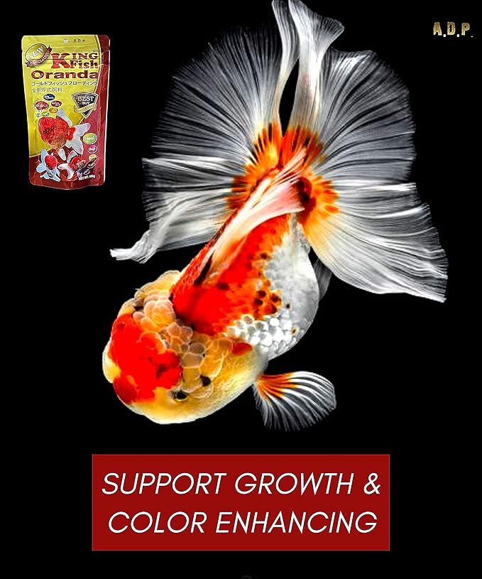 ORANDA Goldfish Food Floating Pellet 1.5 mm, 100 g. High Protein 47% Tropical Fish Feed Color Enhancing, Highly Nutritious for Growth Fast Formula Big Muscle & Mass Gain, Best Healthy Goldfish Feed