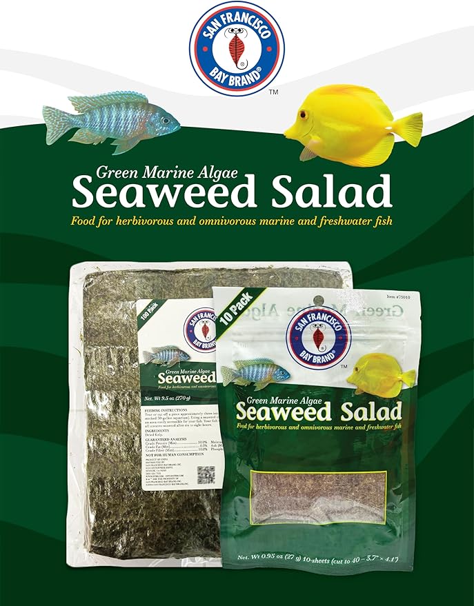 San Francisco Bay Brand Green Seaweed Salad Dried Marine Algae Bulk (0.91 Ounce 40 Mini Sheets) Aquarium Fish Food for Saltwater Marine & Freshwater | Seaweed for All Algae Eater Grazers