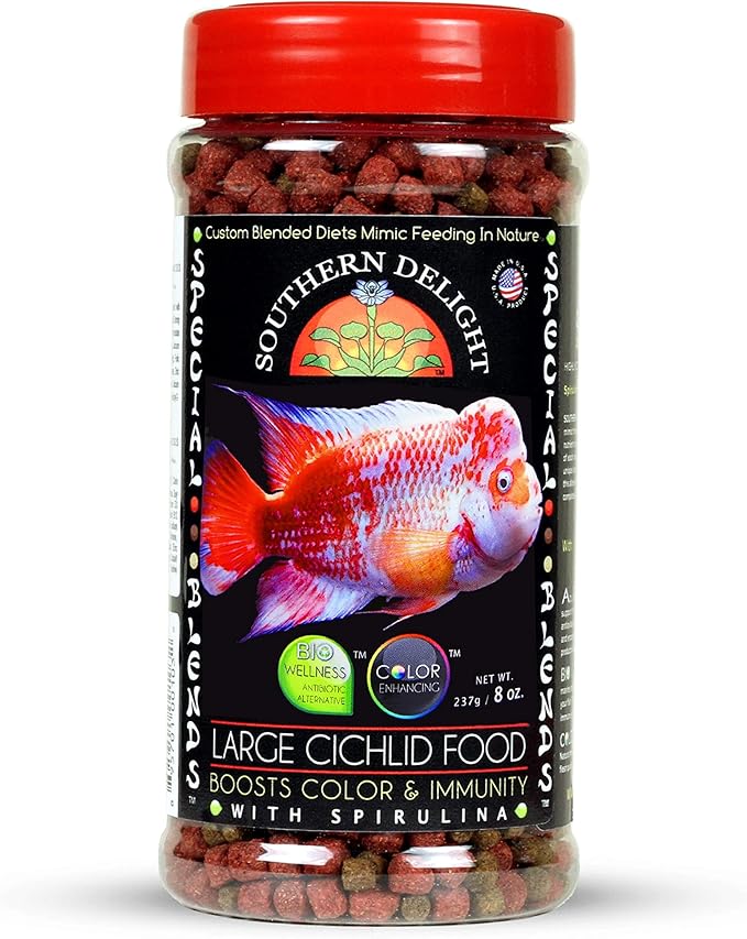 Large Cichlid fish food