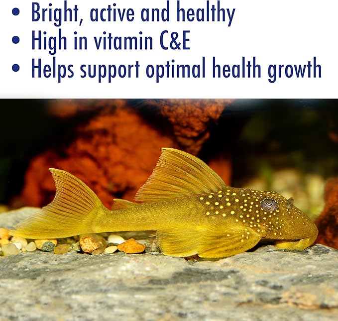 API Aquarian Algae Eater Sinking Algae Chips, 9 Ounce