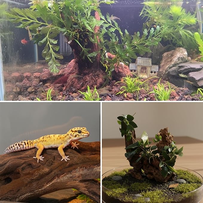 emours Mopani Aquarium Driftwood, Fish Tank Aquascape Wood for Shrimp & Betta, Also for Terrariums & Reptiles, Assorted Branches, 3-Pack Small (8-12 in / 20-30 cm)