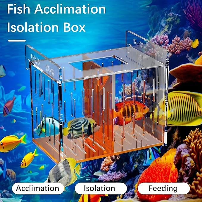 Acrylic Acclimation Box for Saltwater Fish and Reef Coral Quarantine Isolation Box for Aquarium Fish Hydroponic Plant External Breeding Box