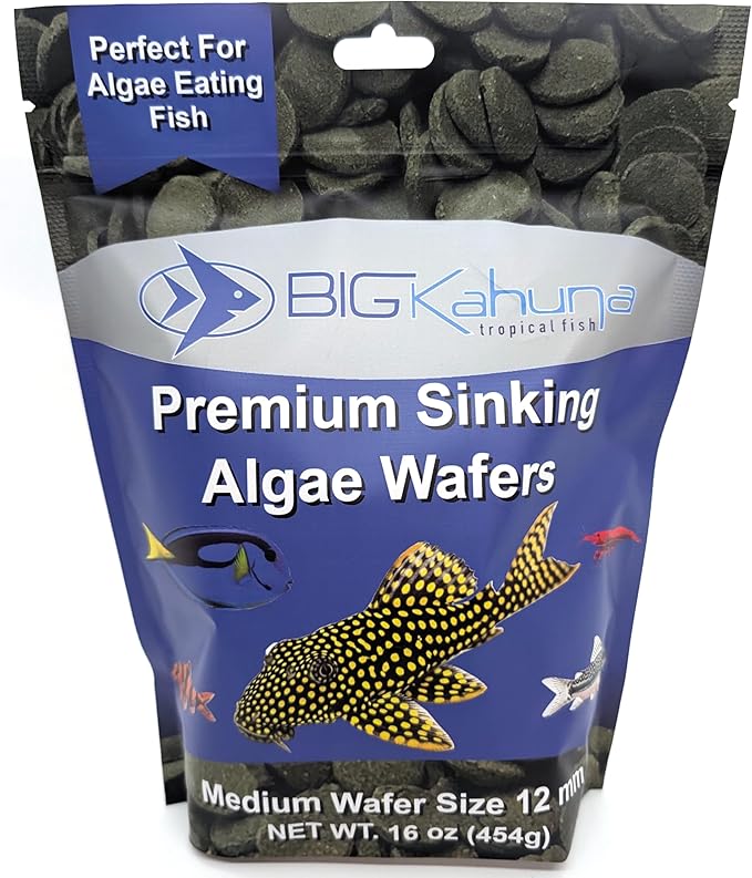 Medium 12mm Algae Wafer - Algae Wafers for Bottom Feeders - The Best Pleco Wafers & Pleco Food Available - Algae Wafers for Snails (16 oz)