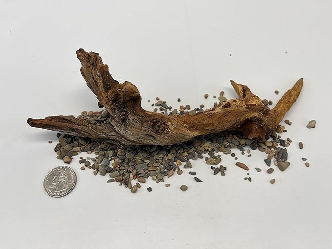 X-Small Driftwood (4.5-7 in) Assorted Natural Aquarium Decoration (1 Piece)