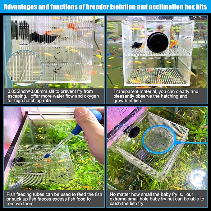 Magnetic Fish Breeder Box for Isolation Boxes Acclimation Hatchery breeding Incubator for Guppy Baby Betta Shrimp Saltwater Clownfish Coral Anemones Aggressive or Injured Fishes