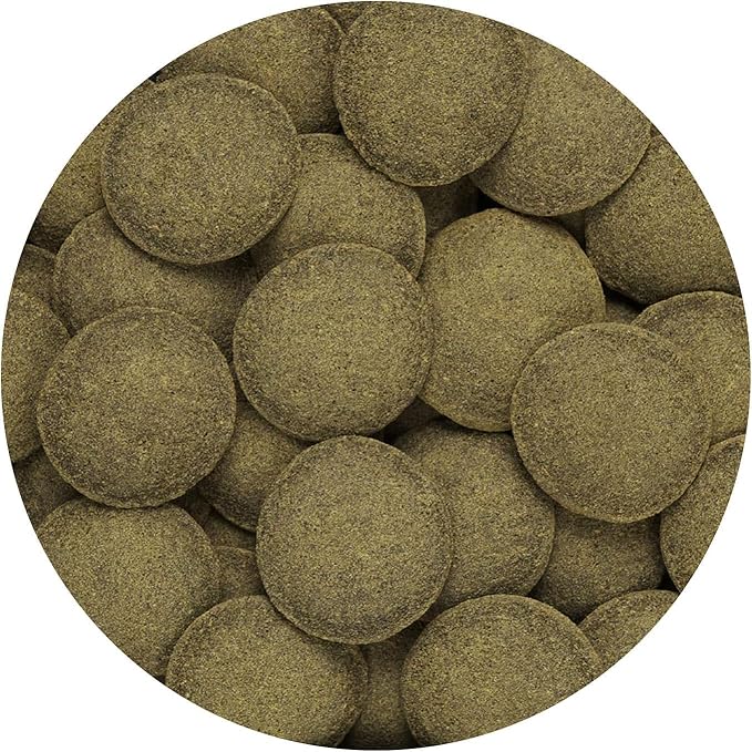 WLR Industries Bundle Hikari Algae Wafers 2 Pack – 8.8-oz Bags Sinking Fish Food for Plecos, Algae Eaters & Bottom Feeders – High Protein Aquarium Fish Food
